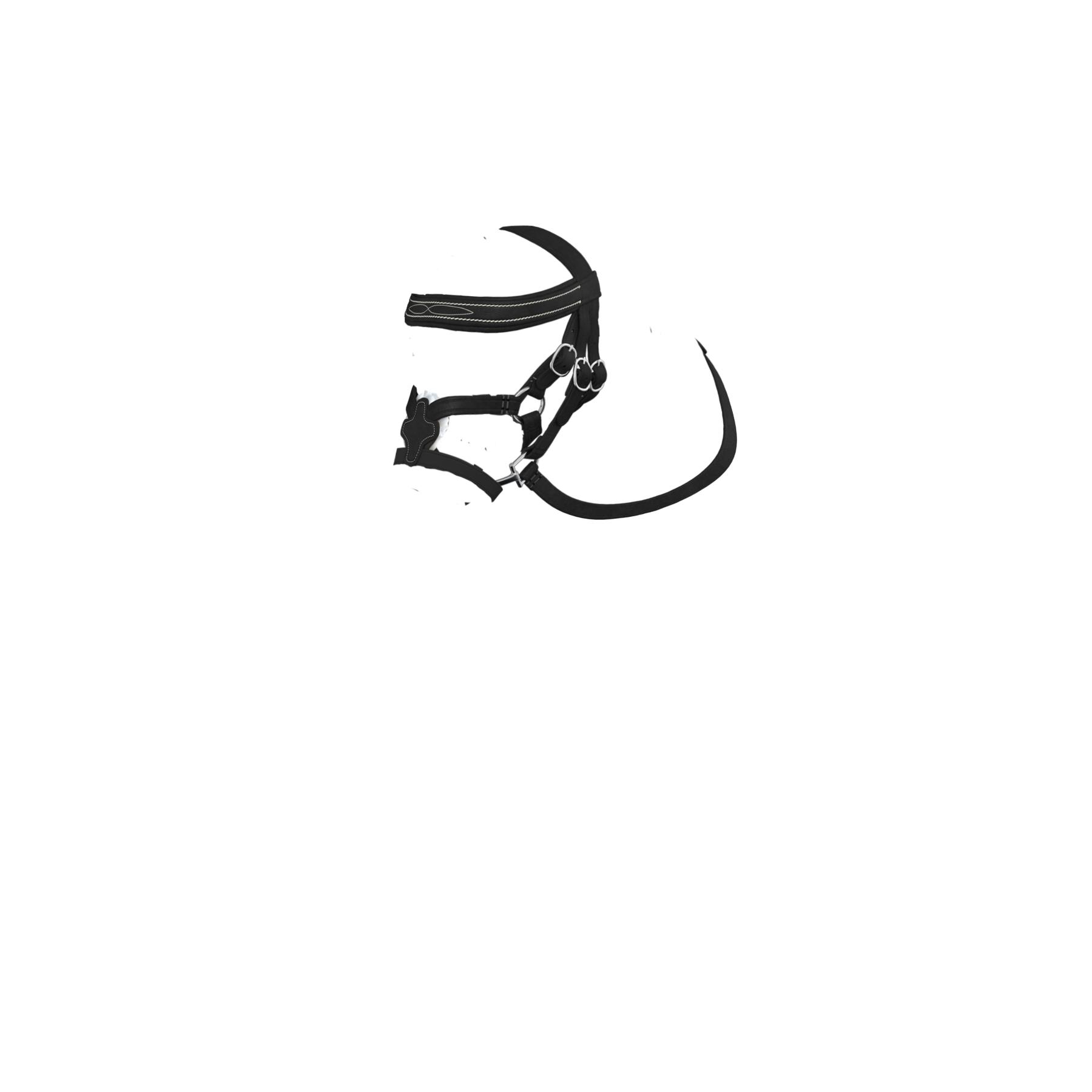 product/l/e/lemieux_it06291001_noir_4.jpg