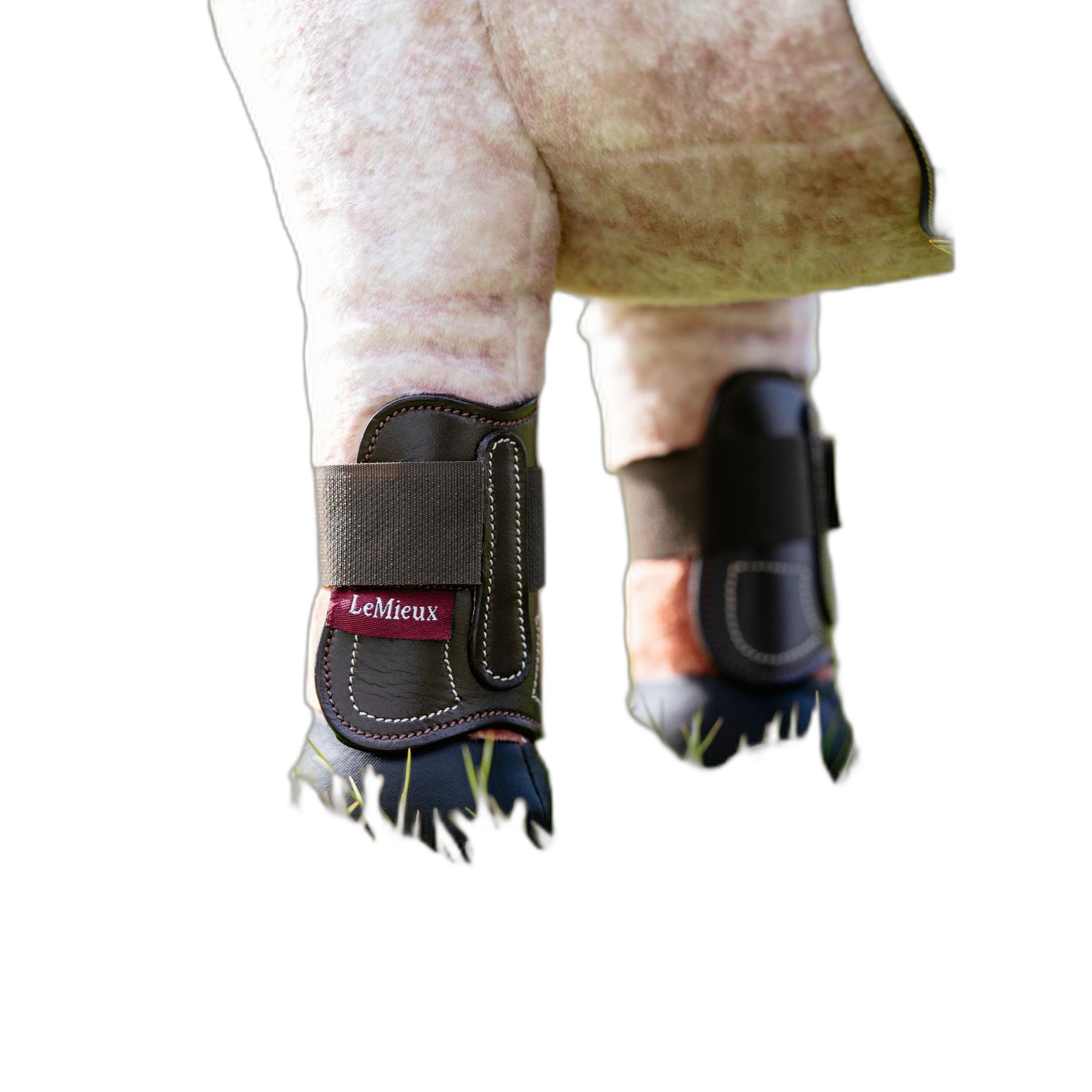 product/l/e/lemieux_it06301001_marron_2.jpg