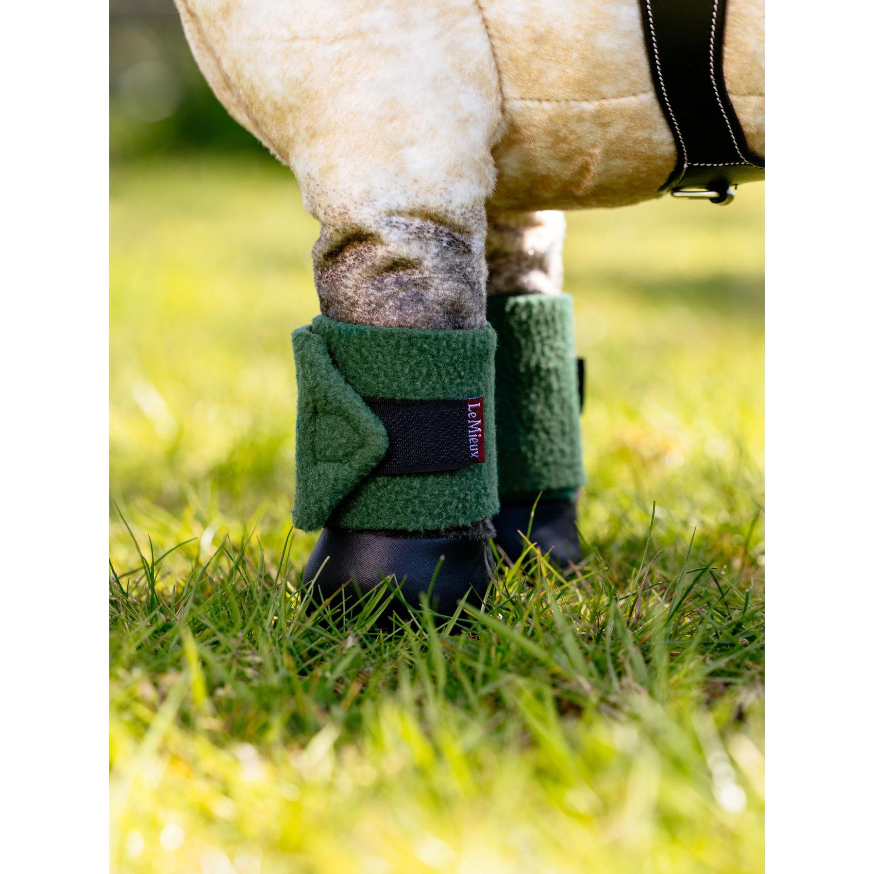 product/l/e/lemieux_it07571001_vert-hunter_4.jpg