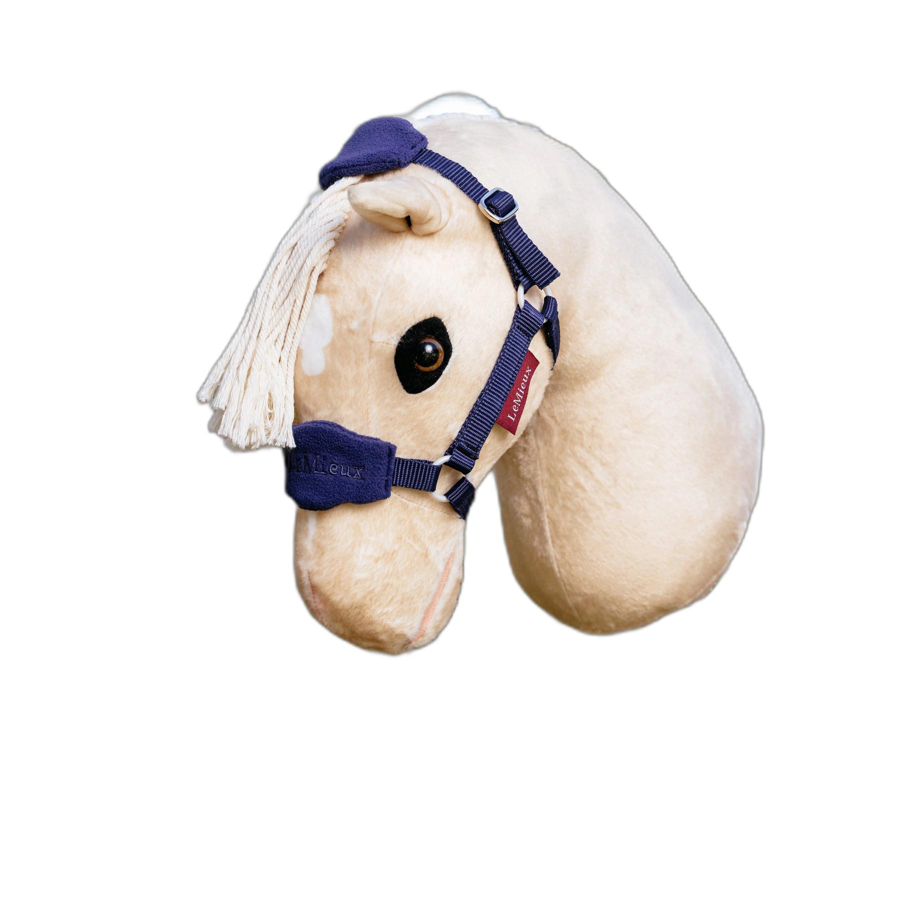product/l/e/lemieux_it07580001_bleu-ink_3.jpg