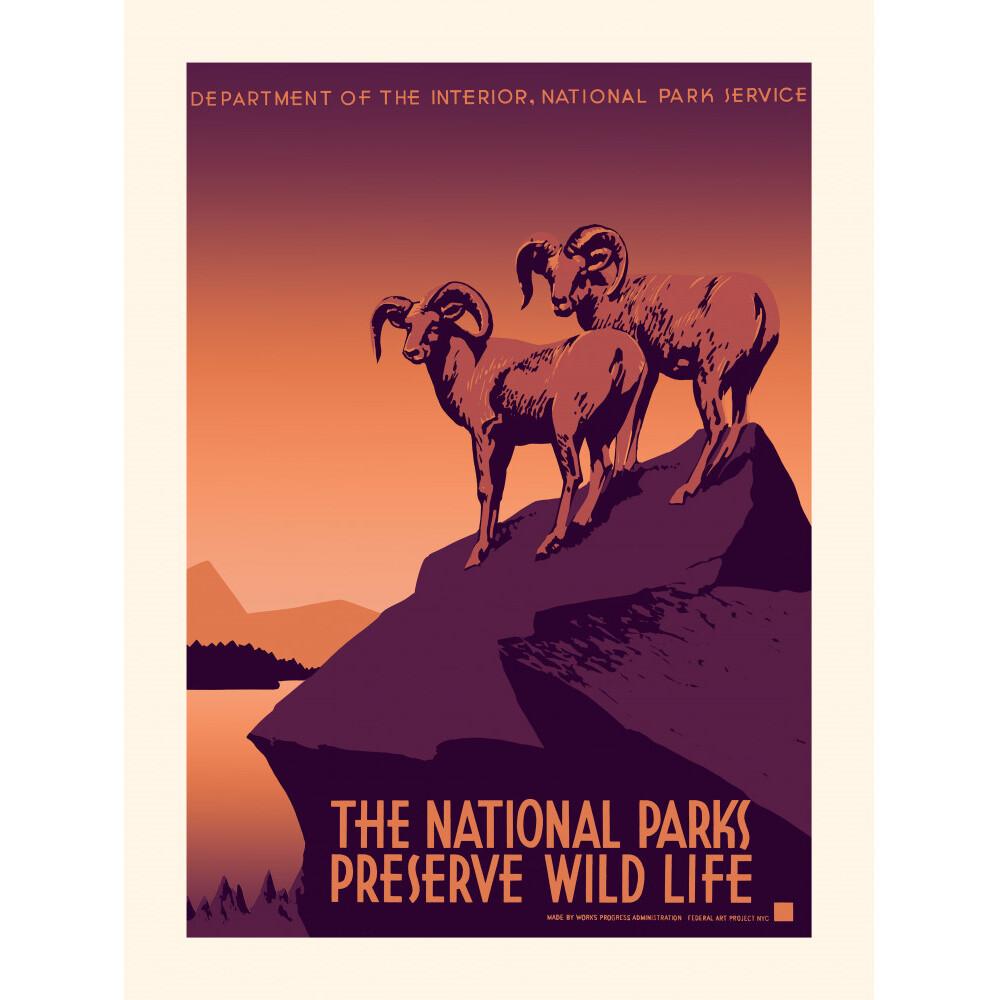 product/p/l/plakat_kb1205plakwildlife_0.jpg