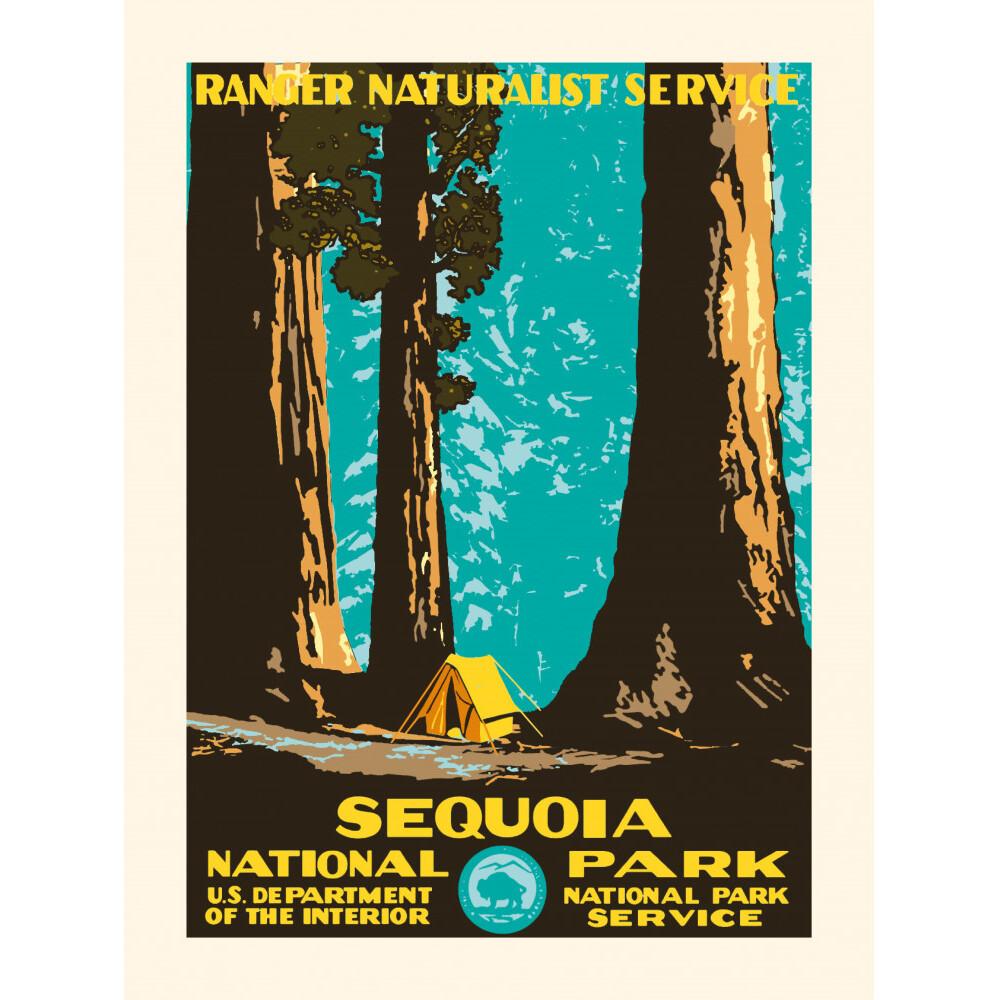 product/p/l/plakat_kb1208plaksequoia_2.jpg