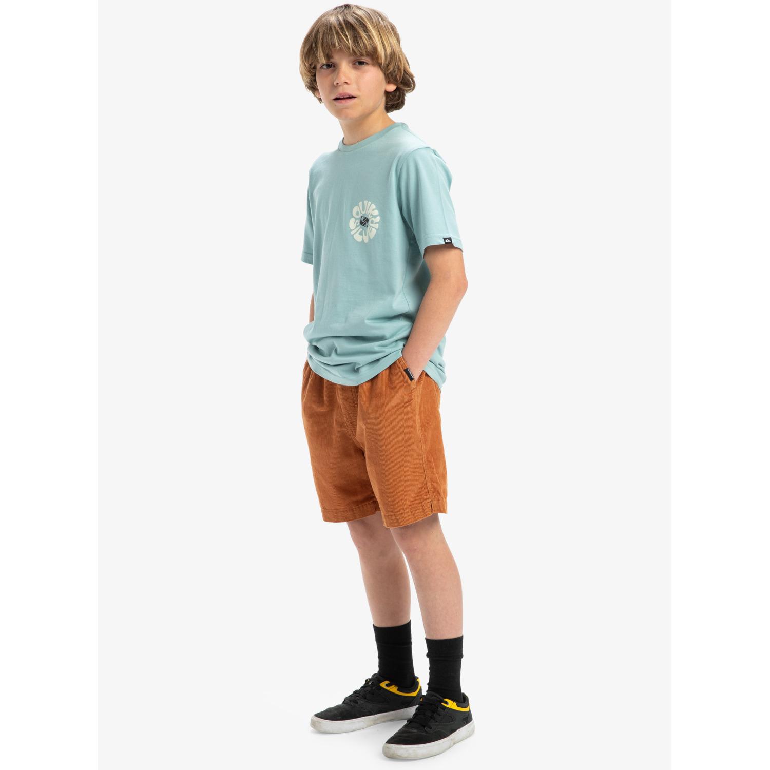 product/q/u/quiksilver-eqbws03371-cmn0-marron-7.jpg