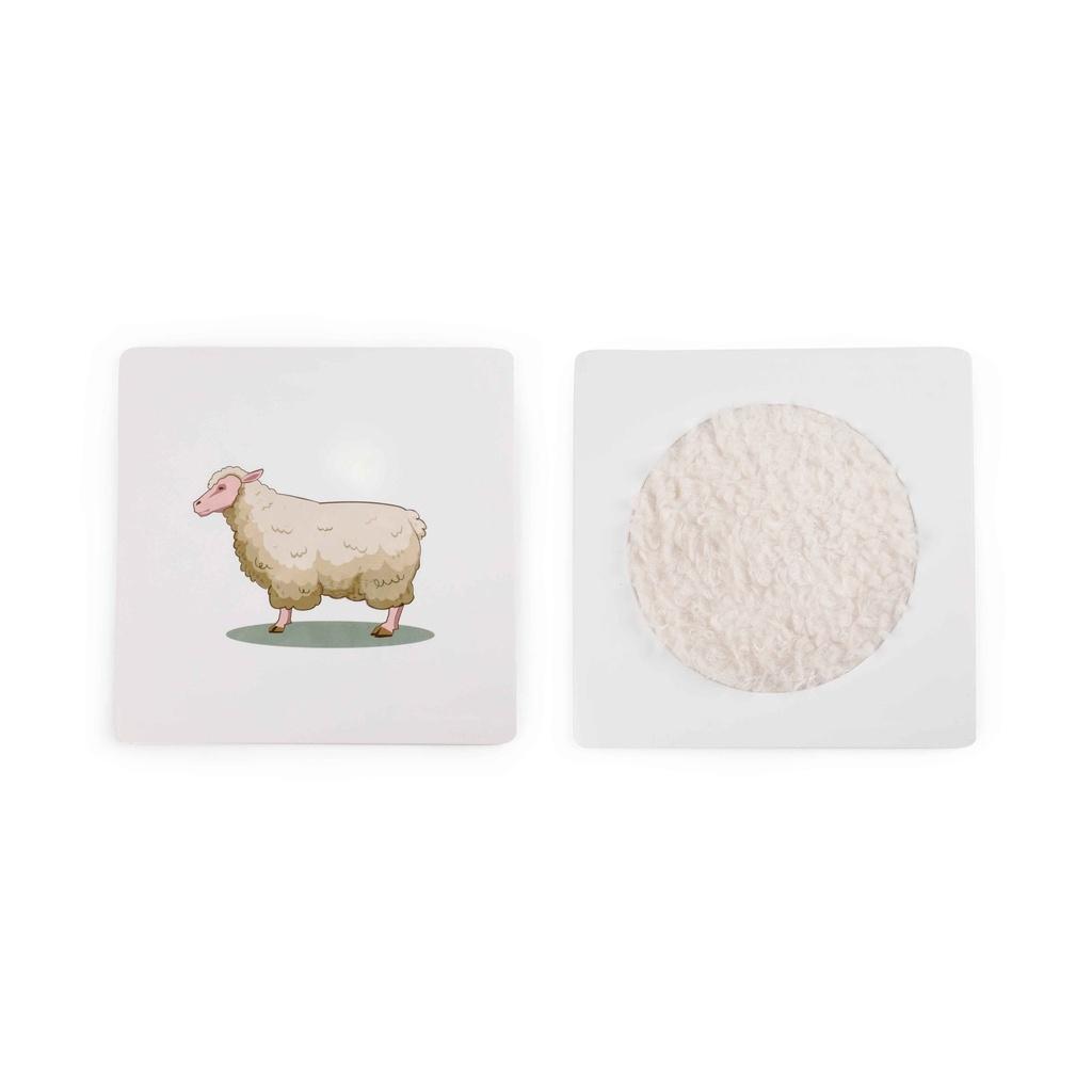 product/s/e/sensory-toys_shfp_multi_3.jpg