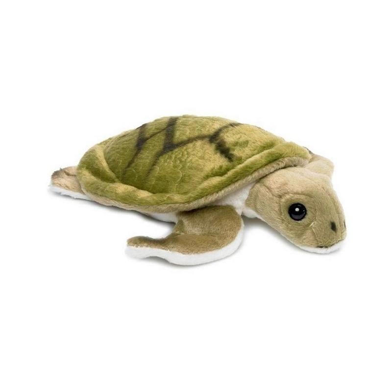 product/w/w/wwf_15214001_vert-marron_1.jpg