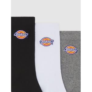 product/2/0/2025_dickies_dk0a4z6ugym1_1.jpg