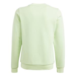 product/a/d/adidas_is2647_3_apparel_photography_back_center_view_white.jpg