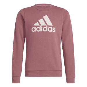 iz3434-sweatshirt-fille-adidas-essentials-big-logo-precri-sanpin