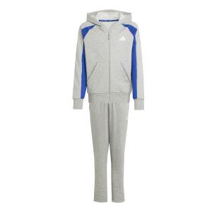 product/a/d/adidas_jw2511_mgreyh-royblu-white_2.jpg