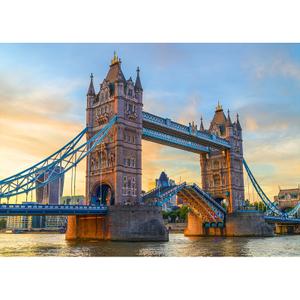 product/a/l/alipson-puzzle_a2402342_marron_2.jpg