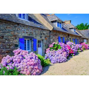 product/a/l/alipson-puzzle_a2403677_violet-gris_2.jpg