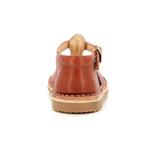product/a/s/aster_902440-10-43_2.jpg