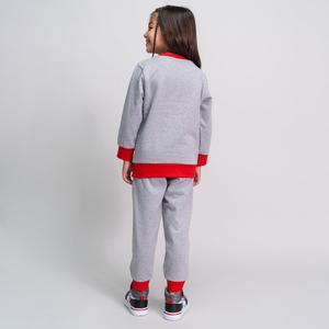 product/c/e/cerda_2900000373-c53_gray_2.jpg