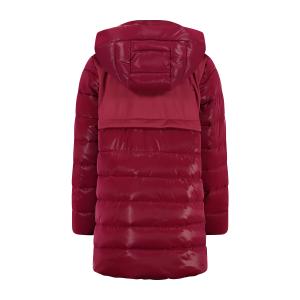 product/c/m/cmp_33k1485-h907_anemone_2.jpg