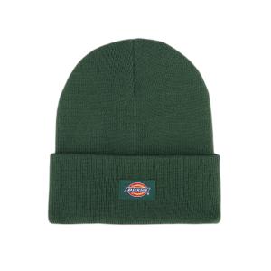dk0a4z3rpin1-bonnet-enfant-dickies-gibsland-pine-needle-green-tu