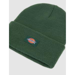 product/d/i/dickies_dk0a4z3rpin1_pine-needle-green_3.jpg