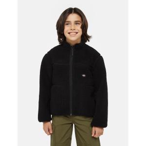 product/d/i/dickies_dk0a4z3tblk1_black_2.jpg