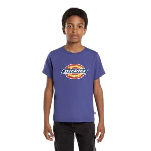 product/d/i/dickies_dk0ksr27k421_skipper-bleu_1.jpg