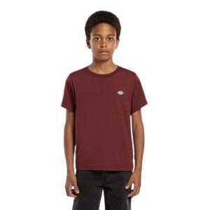 dk0ksr64l161-t-shirt-enfant-dickies-mapleton-andorra
