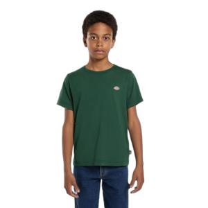 product/d/i/dickies_dk0ksr64pin1_pine-needle-green_1.jpg