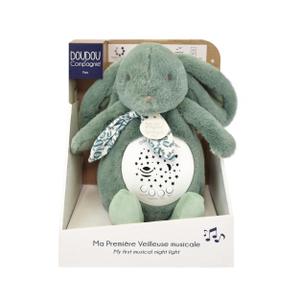 product/d/o/doudou-compagnie_3700335242034.jpg
