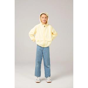 product/d/u/ducksday_windjalemon04_lemonade_3.jpg