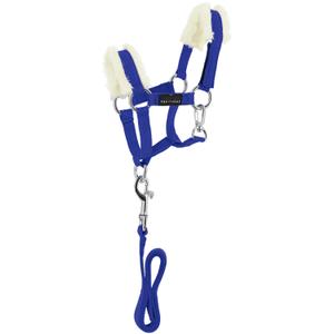 901426006-ensemble-licol-et-longe-pour-cheval-ekkia-bleu-roi-tu