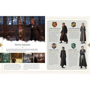 product/h/a/harry-potter_611472_bleu-vert-gris_2.jpg