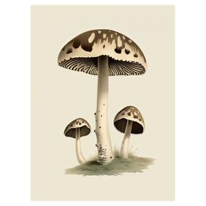 product/h/a/hartman_kb1762har-encyclo05_0.jpg