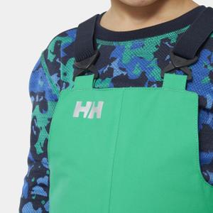 product/h/e/helly-hansen_40342-499_bright-green_3.jpg
