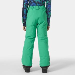 product/h/e/helly-hansen_41606-499_bright-green_5.jpg