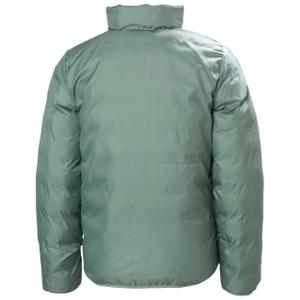 product/h/e/helly-hansen_41796-462_green-mist_7.jpg