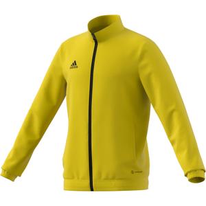 product/h/i/hi2139_app_virtual_standard_white_1645109903.jpg