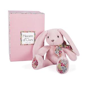 product/h/i/histoire-d-ours_ho3121_1.jpg