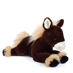 product/h/i/histoire-d-ours_ho3148_3.jpg