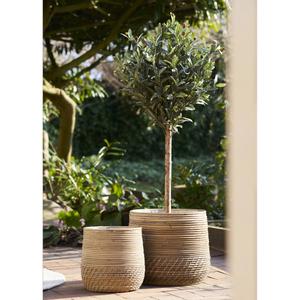 product/h/o/house-nordic_4401185_natural_3.jpg