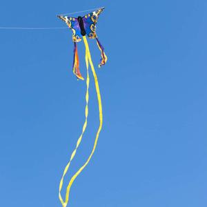 product/h/q/hq-kites_butber_bleu-jaune_2.jpg