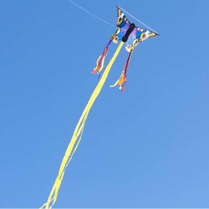 product/h/q/hq-kites_butber_bleu-jaune_3.jpg