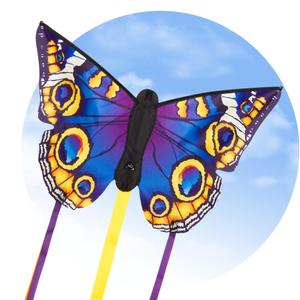 product/h/q/hq-kites_butber_bleu-jaune_4.jpg