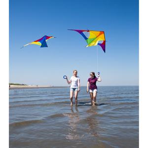 product/h/q/hq-kites_delt3r_multicolore-rainbow_6.jpg