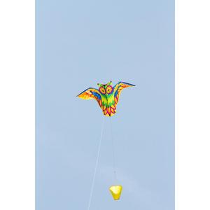 product/h/q/hq-kites_ecoowl_multicolore_2.jpg