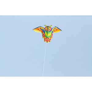 product/h/q/hq-kites_ecoowl_multicolore_4.jpg