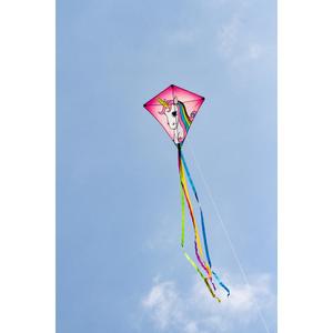 product/h/q/hq-kites_edylic_rose_2.jpg