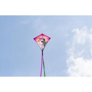 product/h/q/hq-kites_edylic_rose_3.jpg