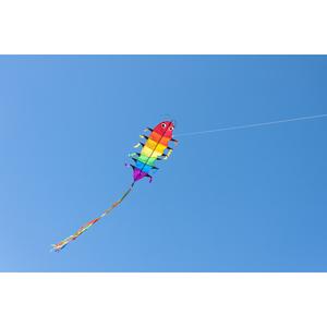 product/h/q/hq-kites_flaww_multicolore_4.jpg