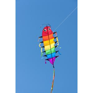 product/h/q/hq-kites_flaww_multicolore_5.jpg