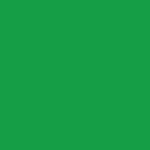 poly60d-g-vert-accessoire-cerf-volant-polyester-icare-distribution-60-d-vert-tu