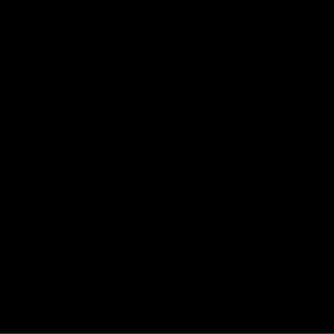 wsspicar-g-noir-toiles-accessoire-cerf-volant-icare-distribution-spi-noir-150-cm