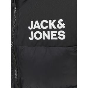 product/j/a/jack-jones_12236914-4346043_5.jpg
