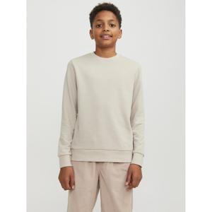 product/j/a/jack-jones_12250530-4402704_3.jpg